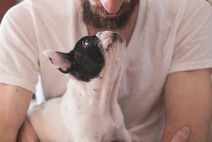 What Does Omega-3 Do for Your Pet?