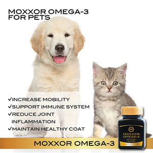 Easy, Safe and Effective Omega-3 Supplements for Cats and Dogs