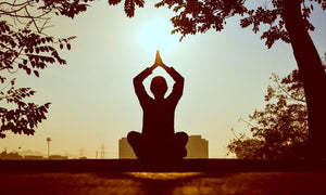Holistic