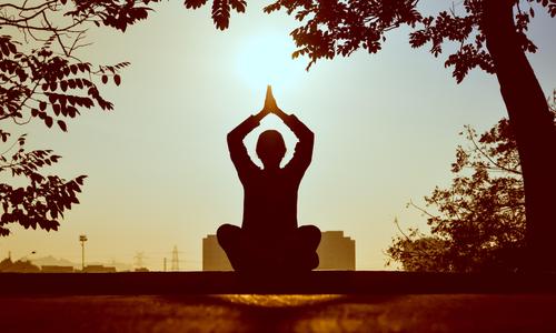 Holistic