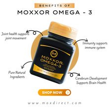 1 Bottle x 60 Capsules